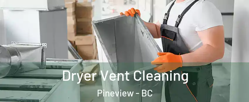  Dryer Vent Cleaning Pineview - BC