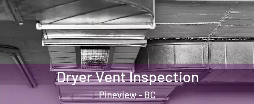  Dryer Vent Inspection Pineview - BC