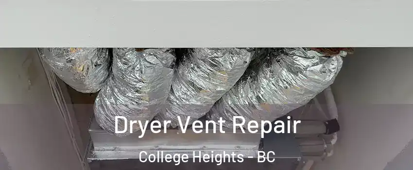  Dryer Vent Repair College Heights - BC