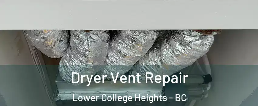  Dryer Vent Repair Lower College Heights - BC