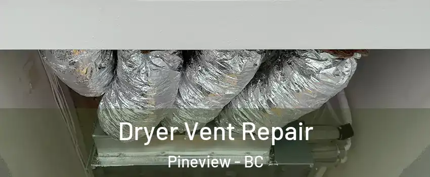  Dryer Vent Repair Pineview - BC