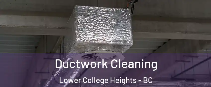  Ductwork Cleaning Lower College Heights - BC