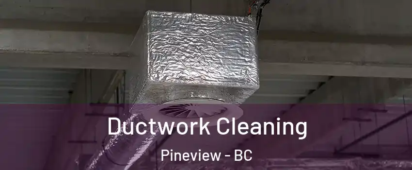  Ductwork Cleaning Pineview - BC