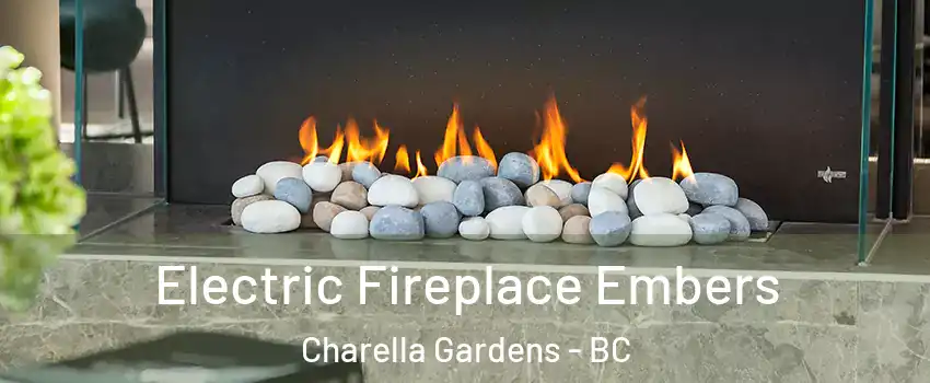  Electric Fireplace Embers Charella Gardens - BC