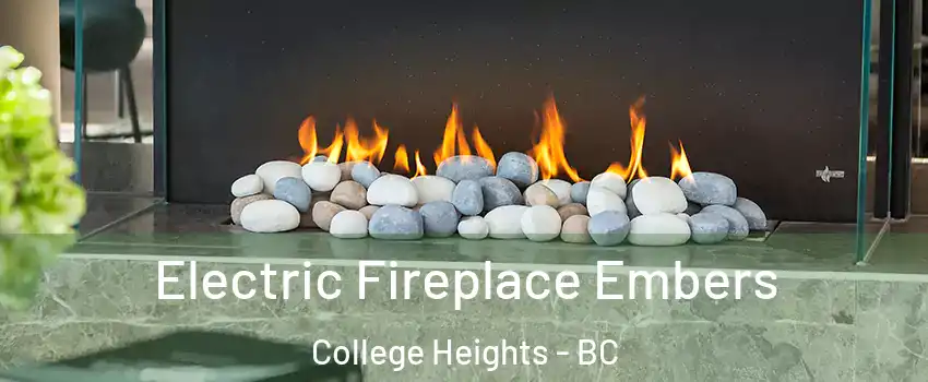  Electric Fireplace Embers College Heights - BC