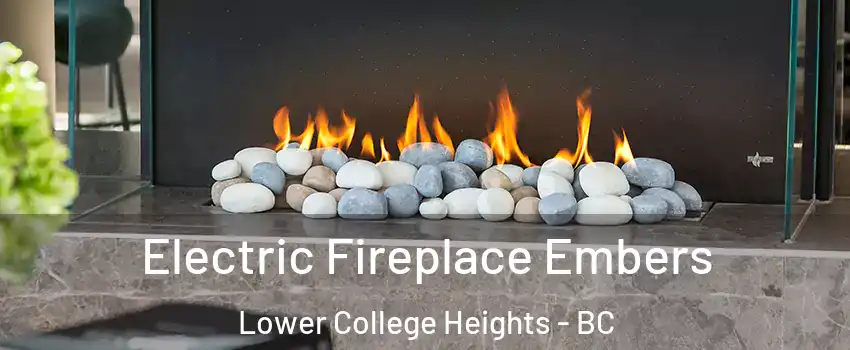  Electric Fireplace Embers Lower College Heights - BC