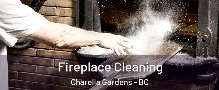  Fireplace Cleaning Charella Gardens - BC