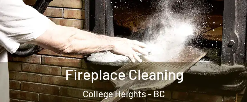  Fireplace Cleaning College Heights - BC