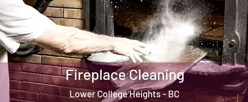  Fireplace Cleaning Lower College Heights - BC