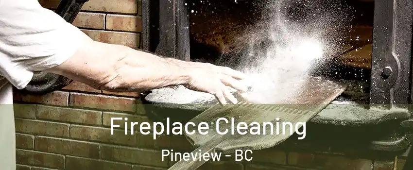  Fireplace Cleaning Pineview - BC