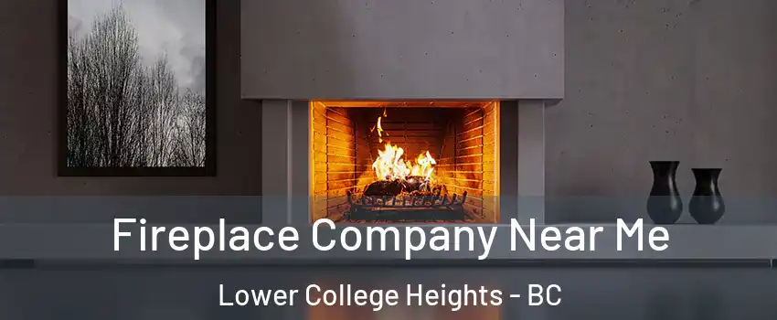  Fireplace Company Near Me Lower College Heights - BC