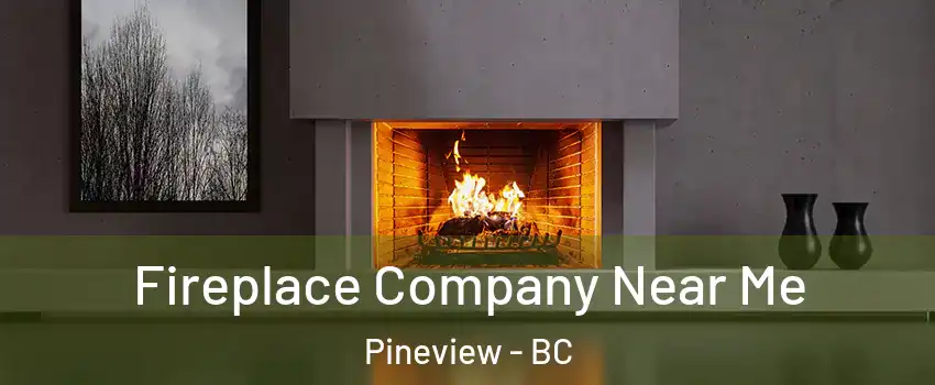  Fireplace Company Near Me Pineview - BC