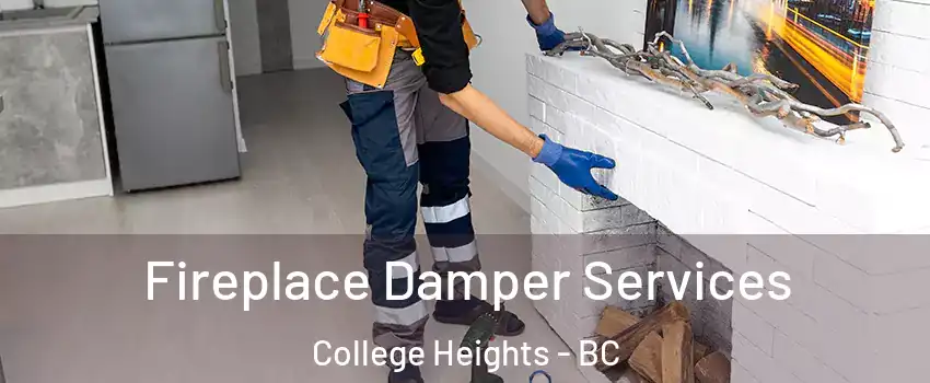  Fireplace Damper Services College Heights - BC