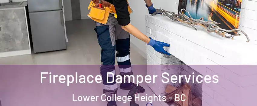  Fireplace Damper Services Lower College Heights - BC