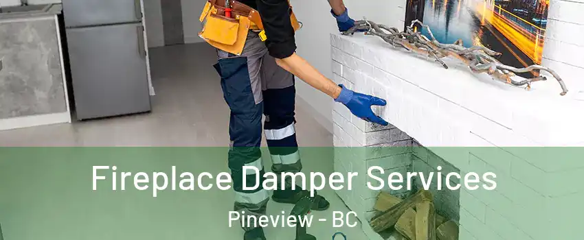  Fireplace Damper Services Pineview - BC