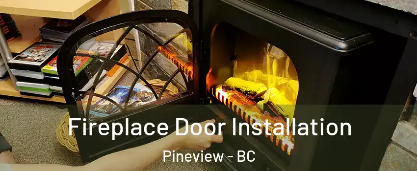  Fireplace Door Installation Pineview - BC