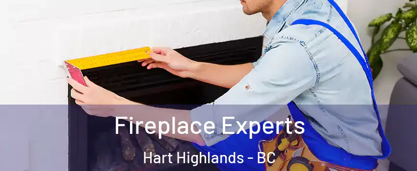  Fireplace Experts Hart Highlands - BC