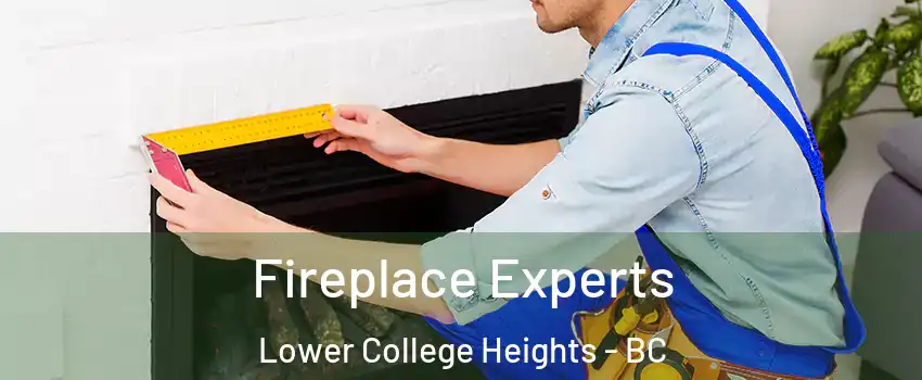  Fireplace Experts Lower College Heights - BC