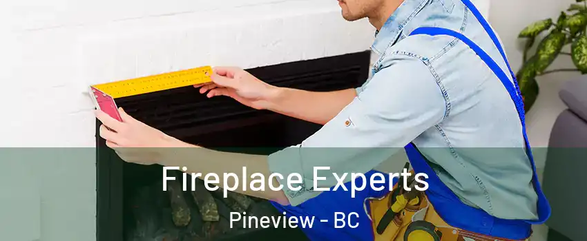  Fireplace Experts Pineview - BC