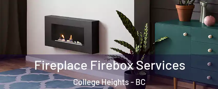  Fireplace Firebox Services College Heights - BC