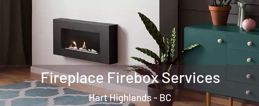  Fireplace Firebox Services Hart Highlands - BC