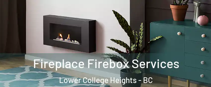  Fireplace Firebox Services Lower College Heights - BC