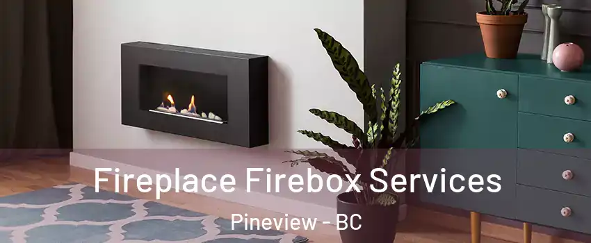  Fireplace Firebox Services Pineview - BC