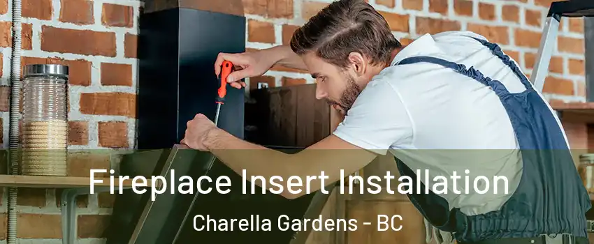  Fireplace Insert Installation Charella Gardens - BC