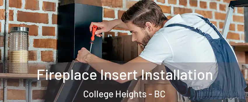  Fireplace Insert Installation College Heights - BC