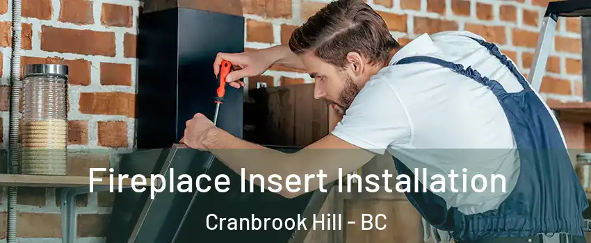  Fireplace Insert Installation Cranbrook Hill - BC