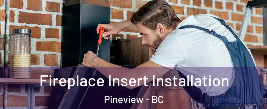  Fireplace Insert Installation Pineview - BC