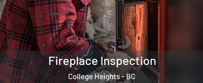  Fireplace Inspection College Heights - BC