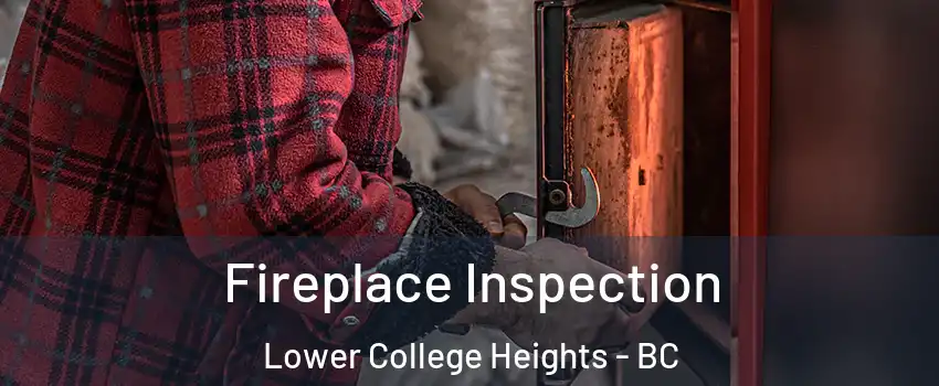  Fireplace Inspection Lower College Heights - BC