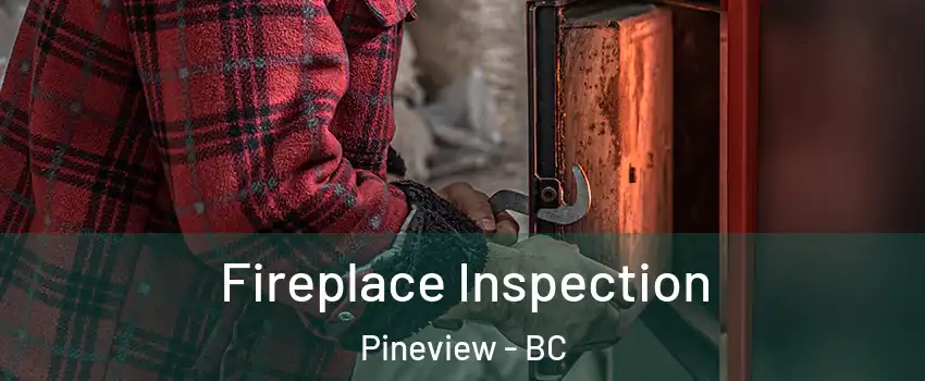  Fireplace Inspection Pineview - BC