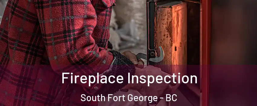  Fireplace Inspection South Fort George - BC