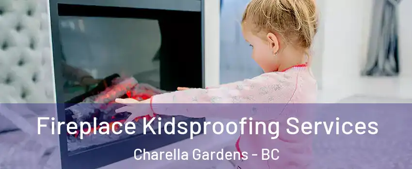  Fireplace Kidsproofing Services Charella Gardens - BC