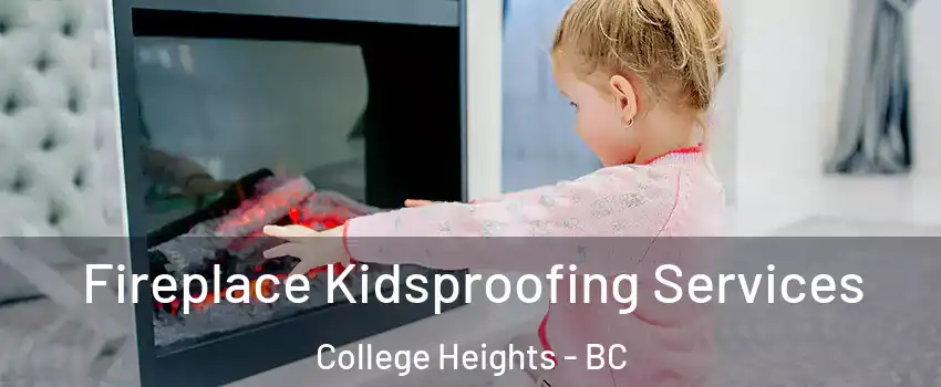  Fireplace Kidsproofing Services College Heights - BC