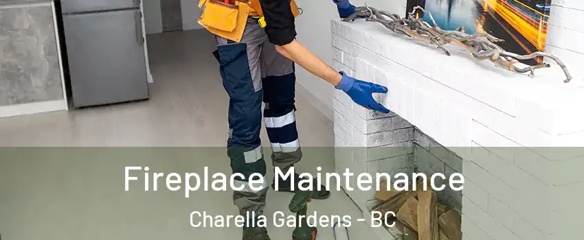  Fireplace Maintenance Charella Gardens - BC