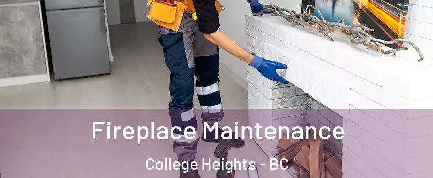  Fireplace Maintenance College Heights - BC