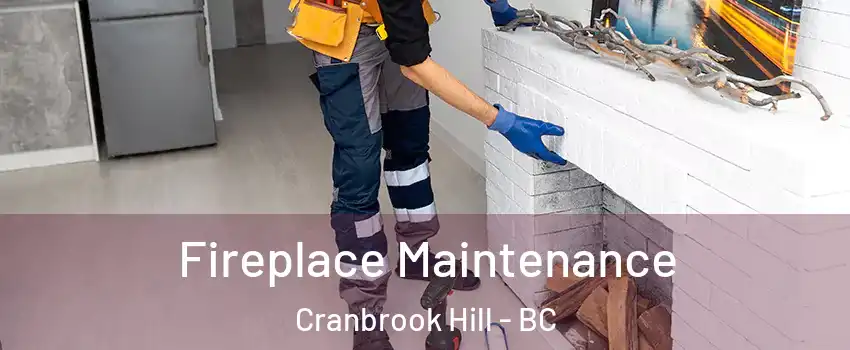  Fireplace Maintenance Cranbrook Hill - BC