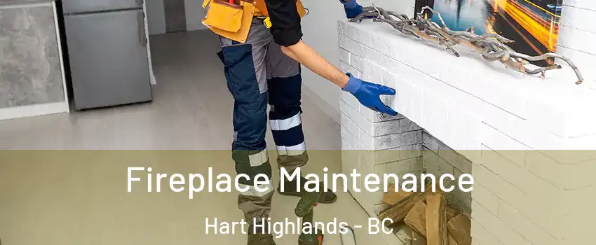  Fireplace Maintenance Hart Highlands - BC