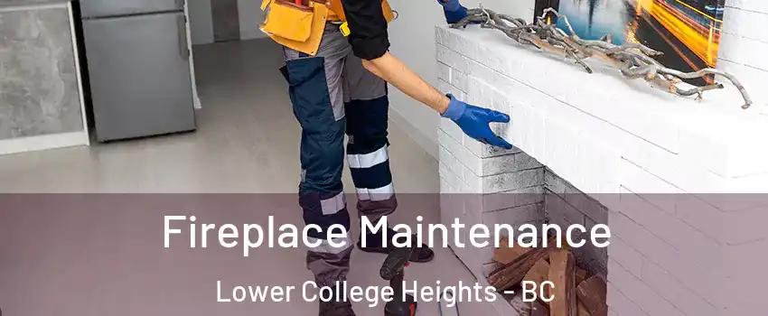  Fireplace Maintenance Lower College Heights - BC