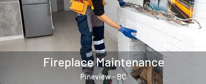  Fireplace Maintenance Pineview - BC