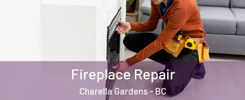  Fireplace Repair Charella Gardens - BC