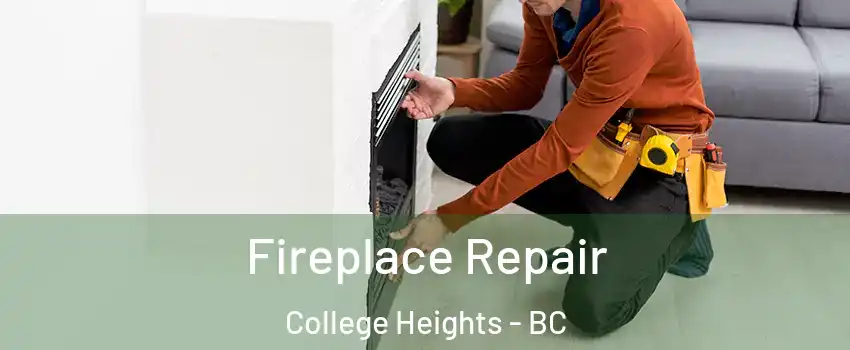  Fireplace Repair College Heights - BC