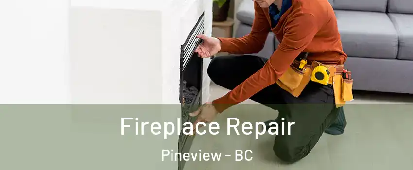  Fireplace Repair Pineview - BC