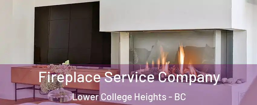  Fireplace Service Company Lower College Heights - BC