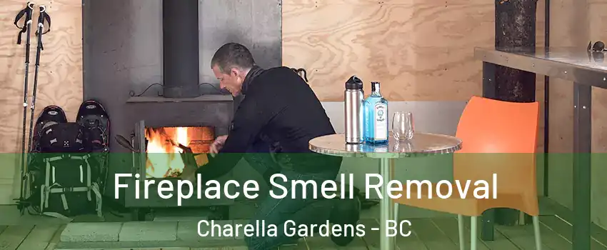  Fireplace Smell Removal Charella Gardens - BC