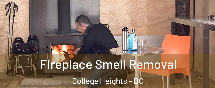  Fireplace Smell Removal College Heights - BC