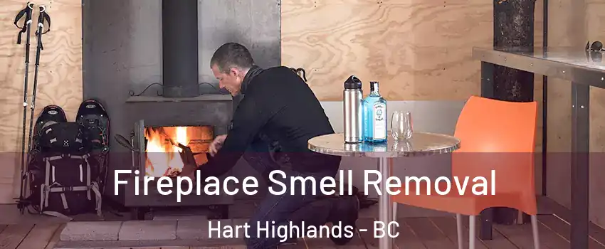  Fireplace Smell Removal Hart Highlands - BC